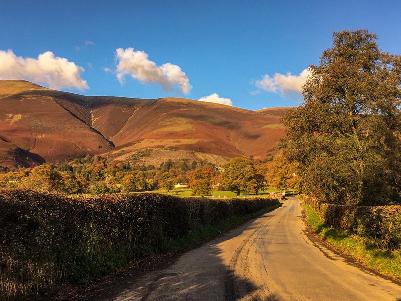 ambleside hills