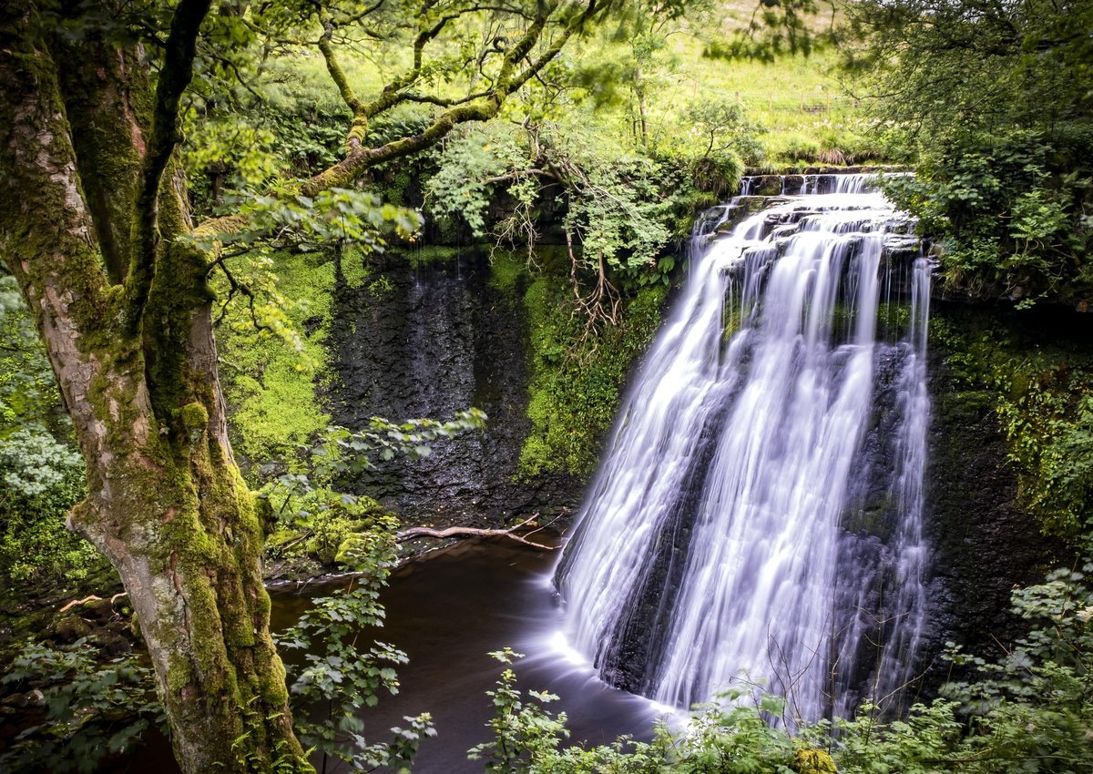 aysgill force in yorkshire dales