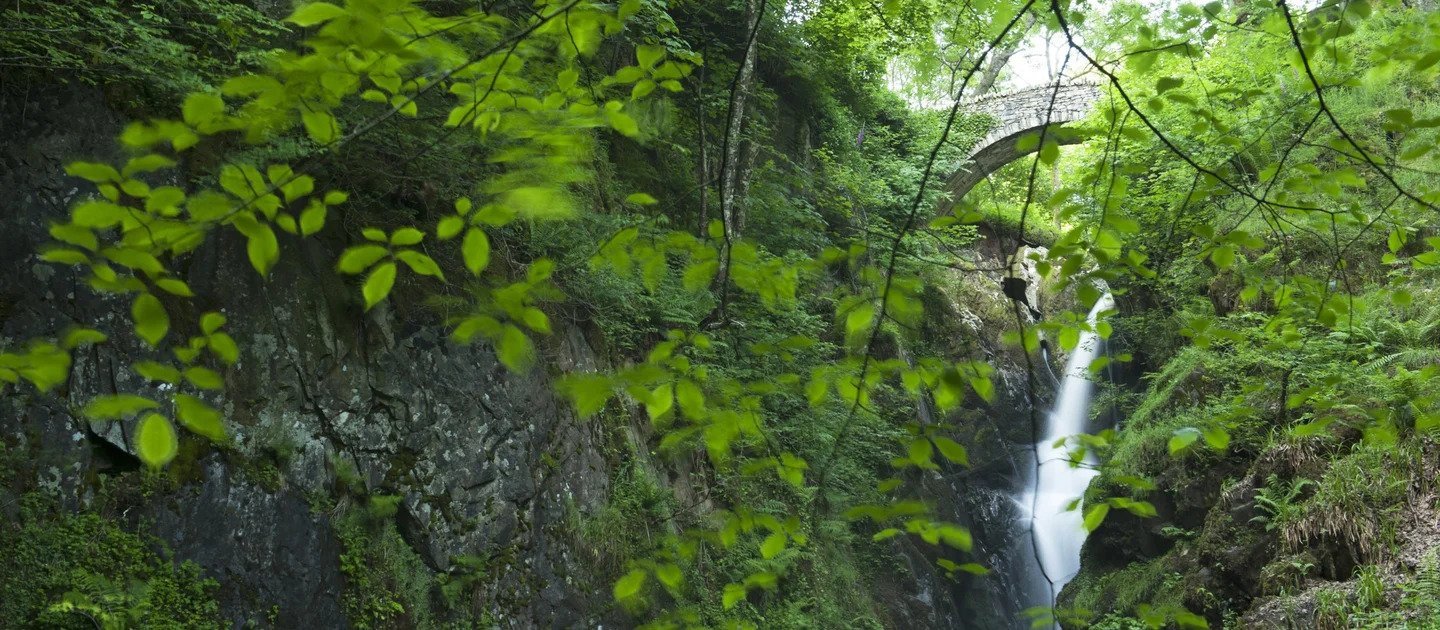 Aira Falls in Penrith